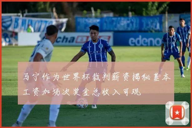 马宁作为世界杯裁判薪资揭秘基本工资加场次奖金总收入可观